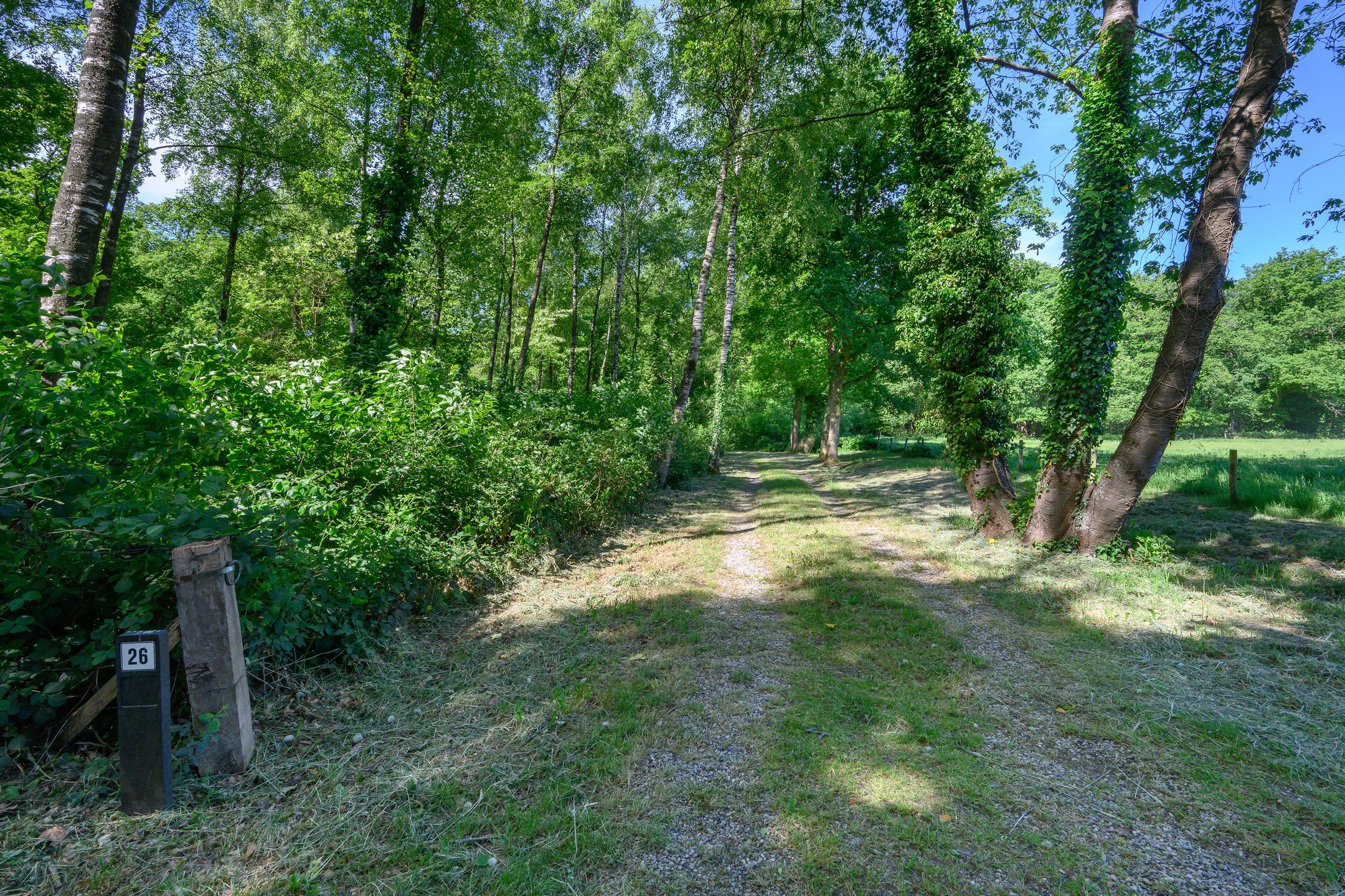 Photo 36 of Dalenk 26