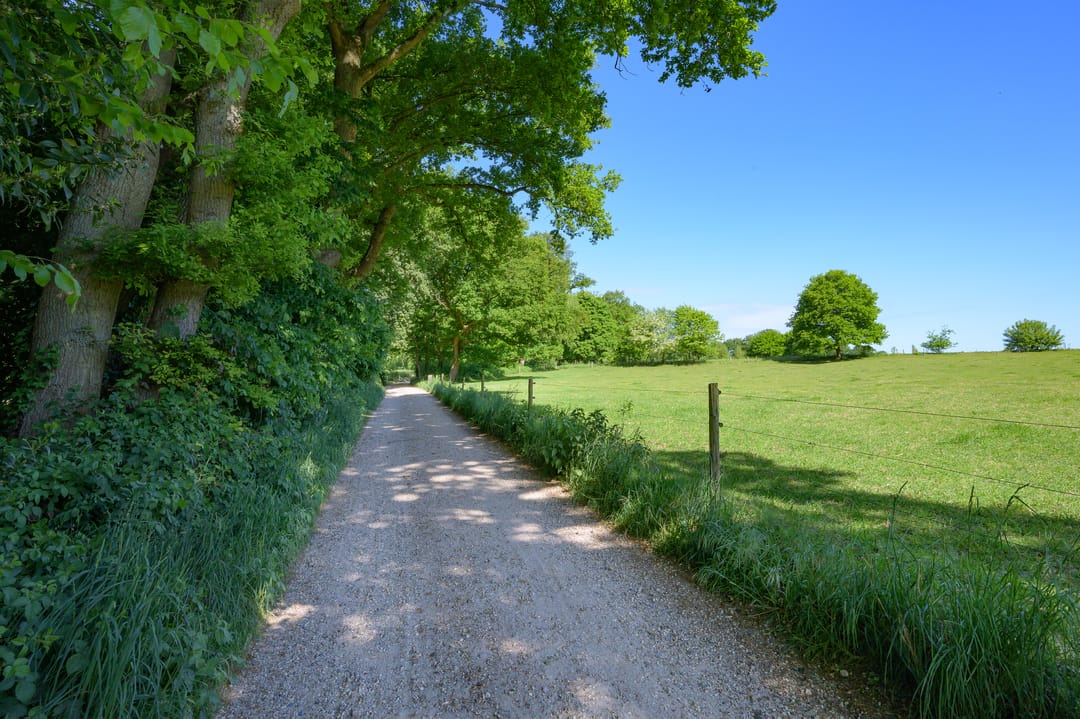 Photo 37 of Dalenk 26