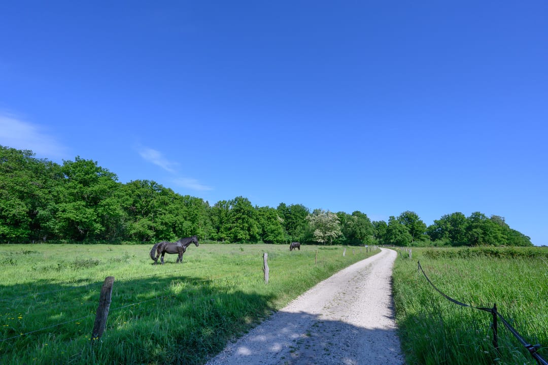 Photo 38 of Dalenk 26