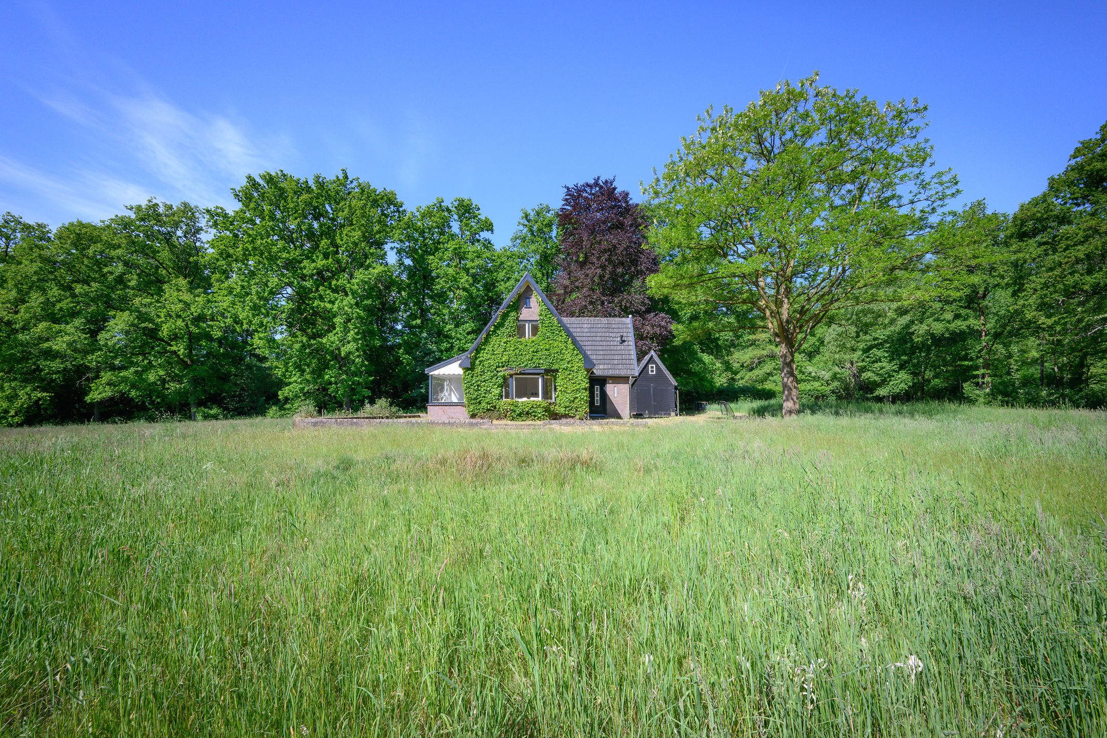 Photo 39 of Dalenk 26