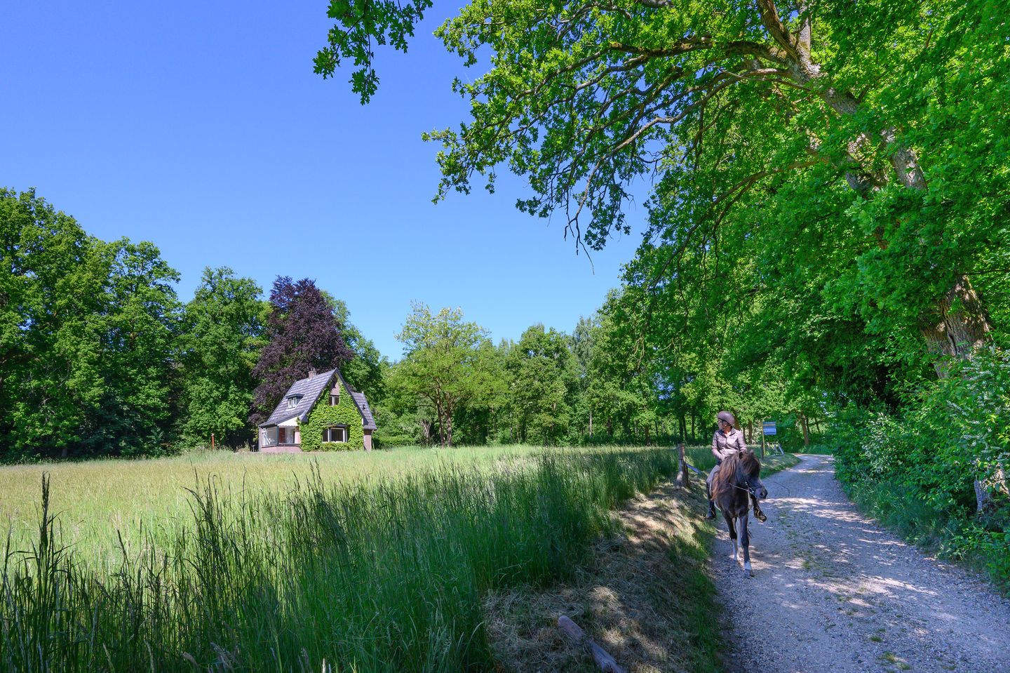 Photo 40 of Dalenk 26