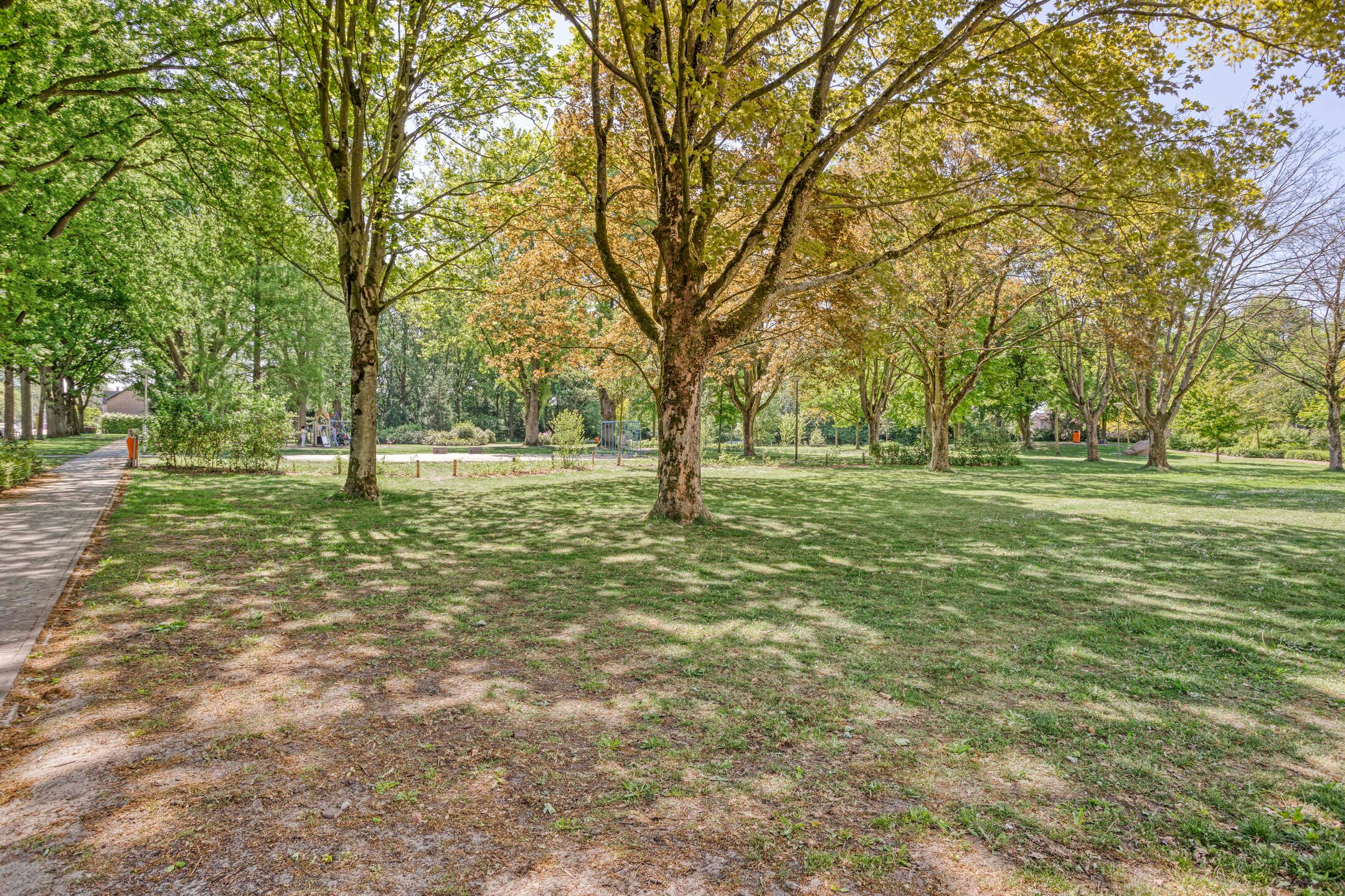 Foto 60 van De Ster 16