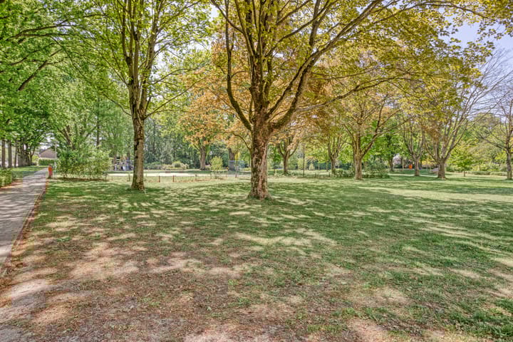 Foto 60 van De Ster 16