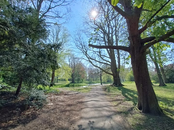 Photo 49 of Binckhorstlaan 16