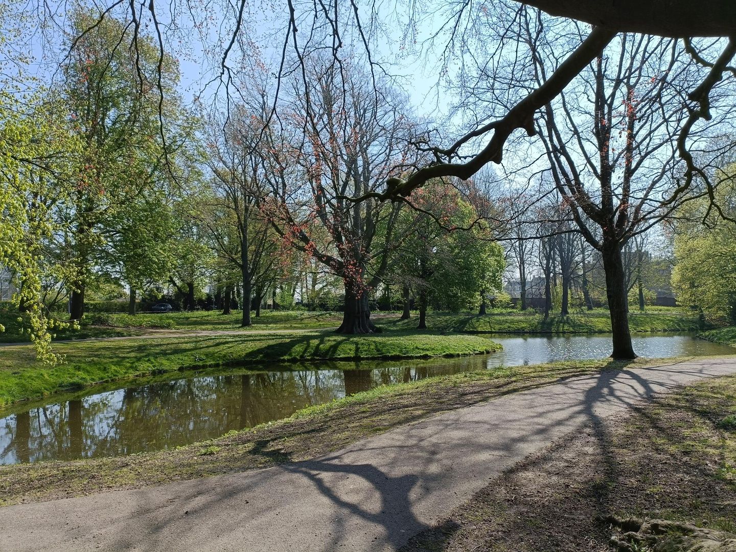 Foto 50 van Binckhorstlaan 16