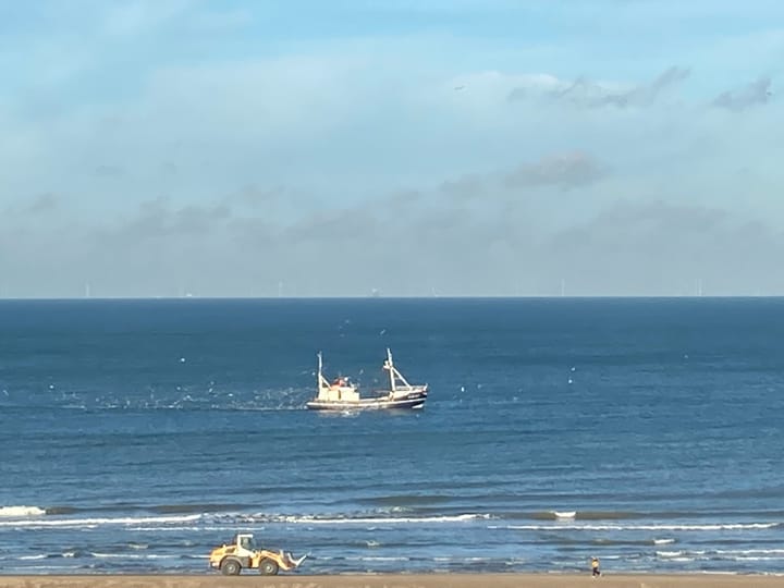 Foto 20 van Rederserf 204