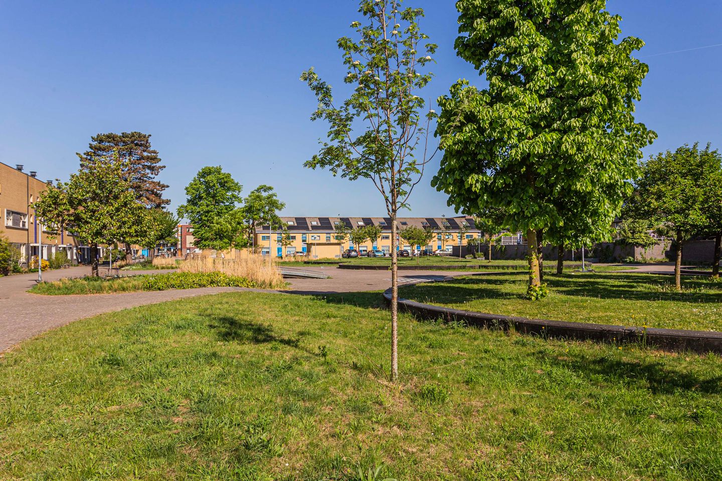 Foto 29 van Grootmeesterplein 7