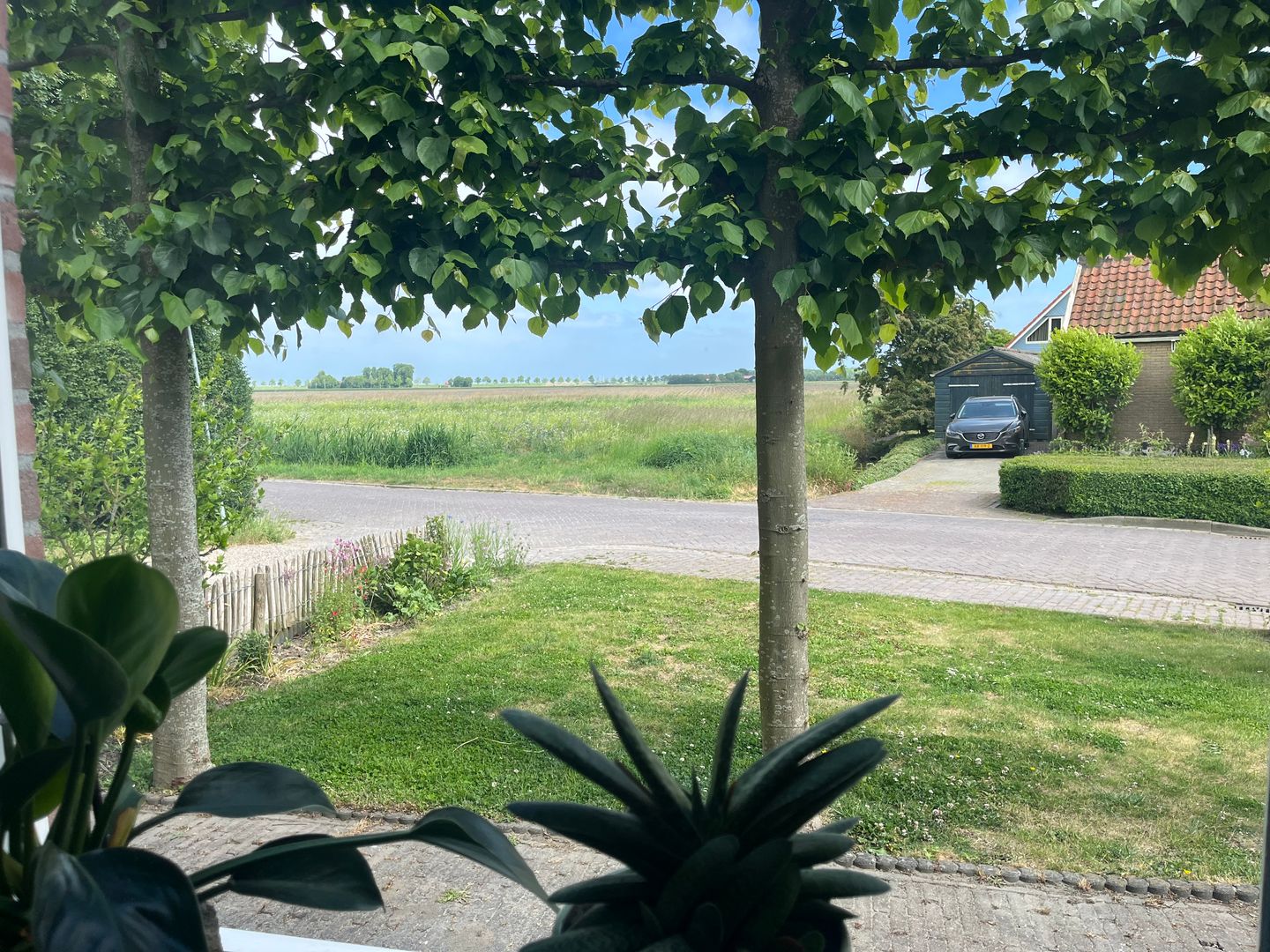 Foto 19 van Welleweg 13