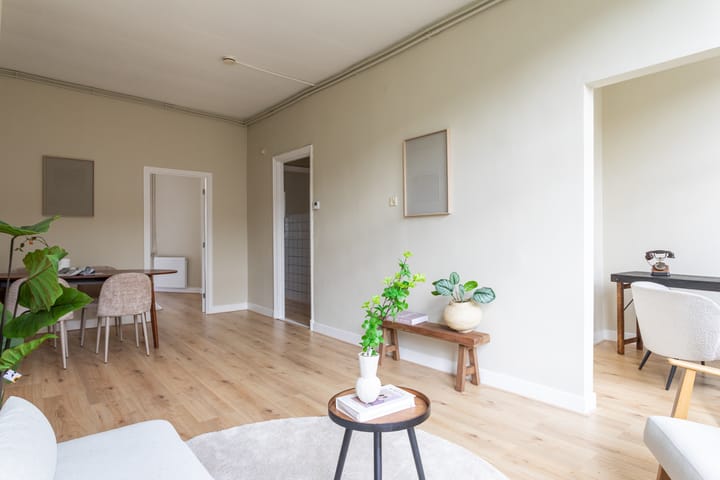 Foto 9 van Professor Kaiserstraat 18