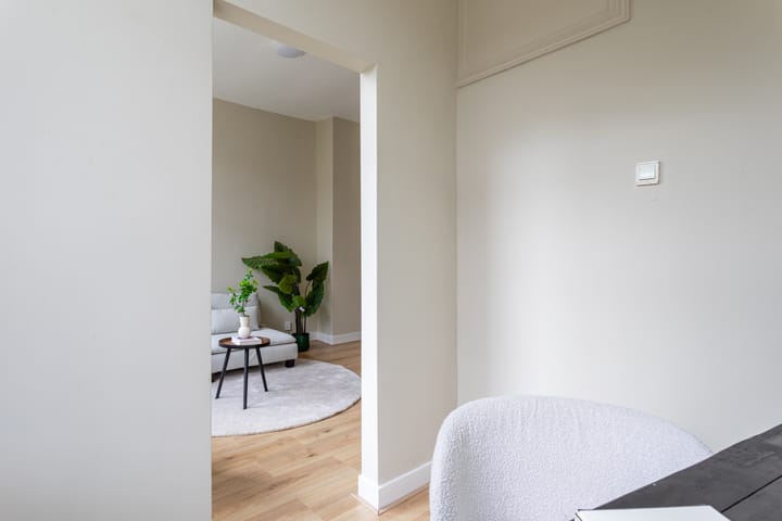 Foto 12 van Professor Kaiserstraat 18