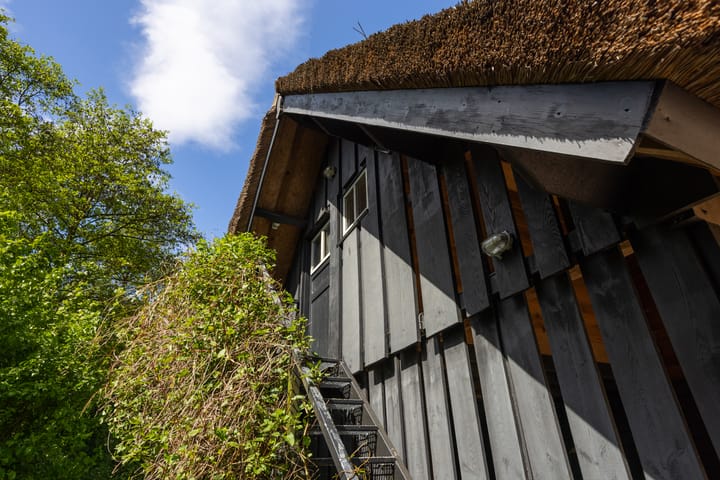 Foto 41 van Tondensestraat 7