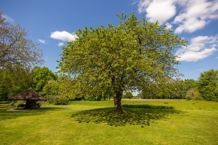 Foto 58 van Tondensestraat 7