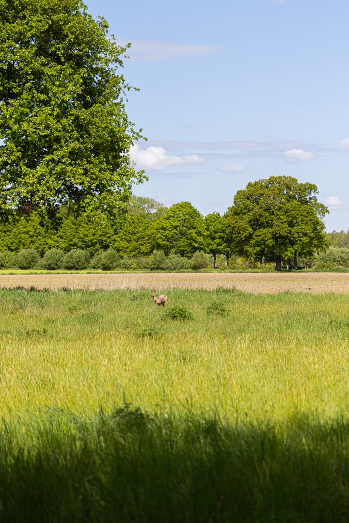 Foto 70 van Tondensestraat 7