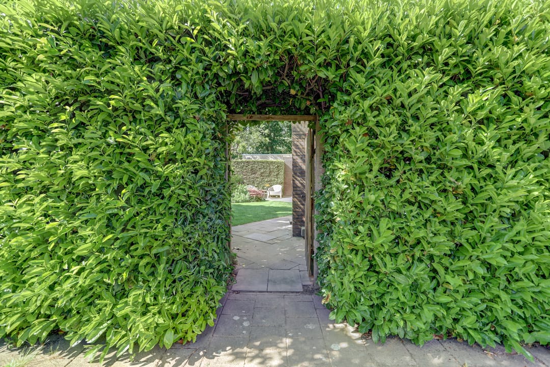 Photo 43 of Turfveldenstraat 32