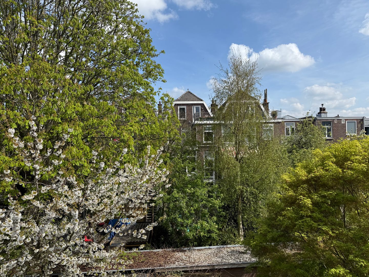 Foto 14 van De Carpentierstraat 34