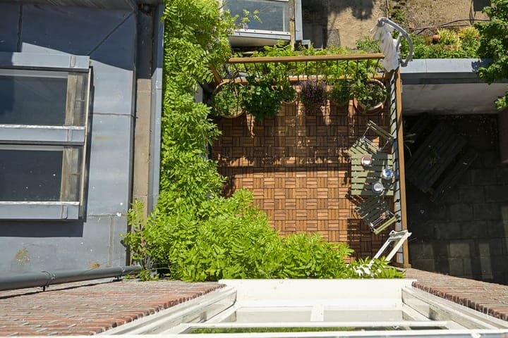 Foto 16 van Prinses Mariestraat 7-B