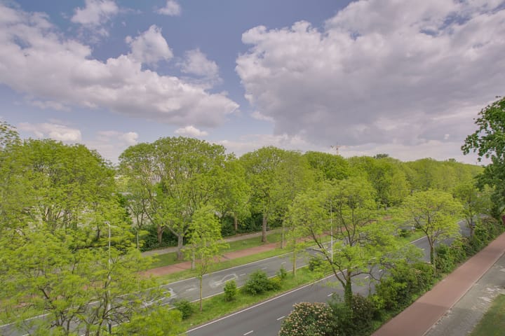 Foto 23 van Bachstraat 106