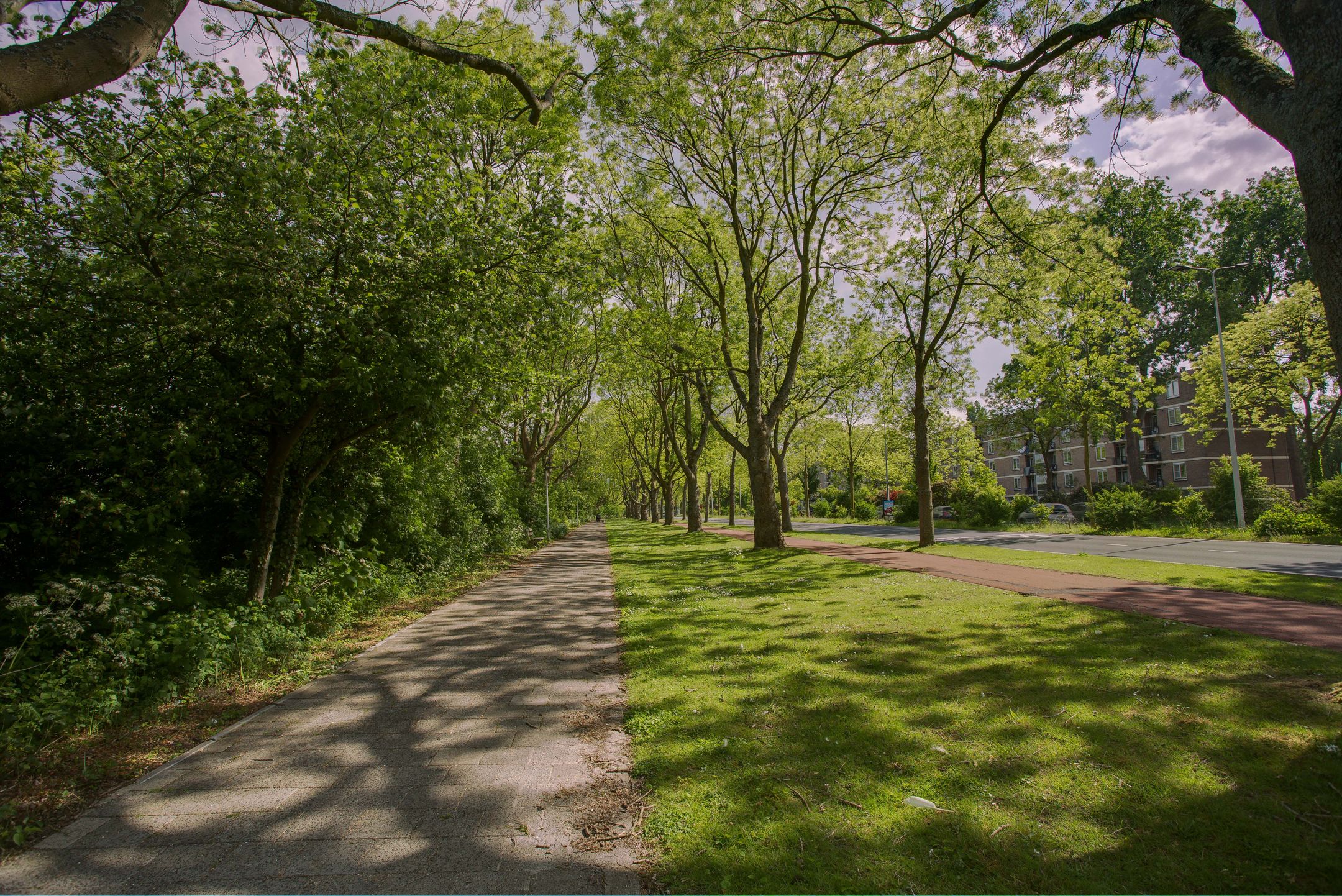 Foto 27 van Bachstraat 106