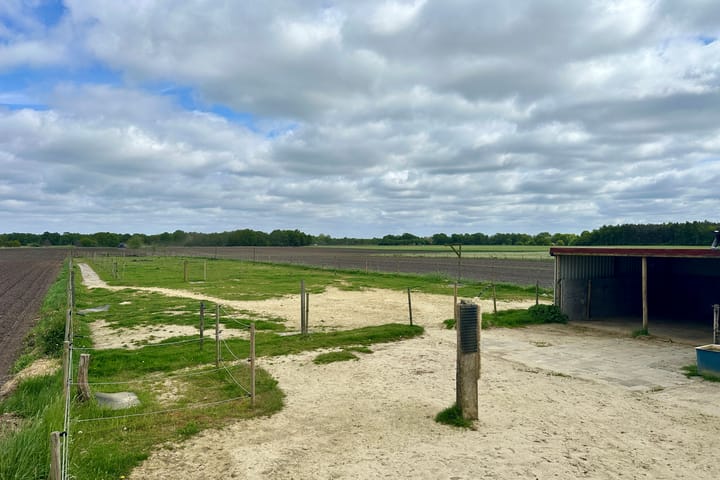 Foto 35 van Holte 12