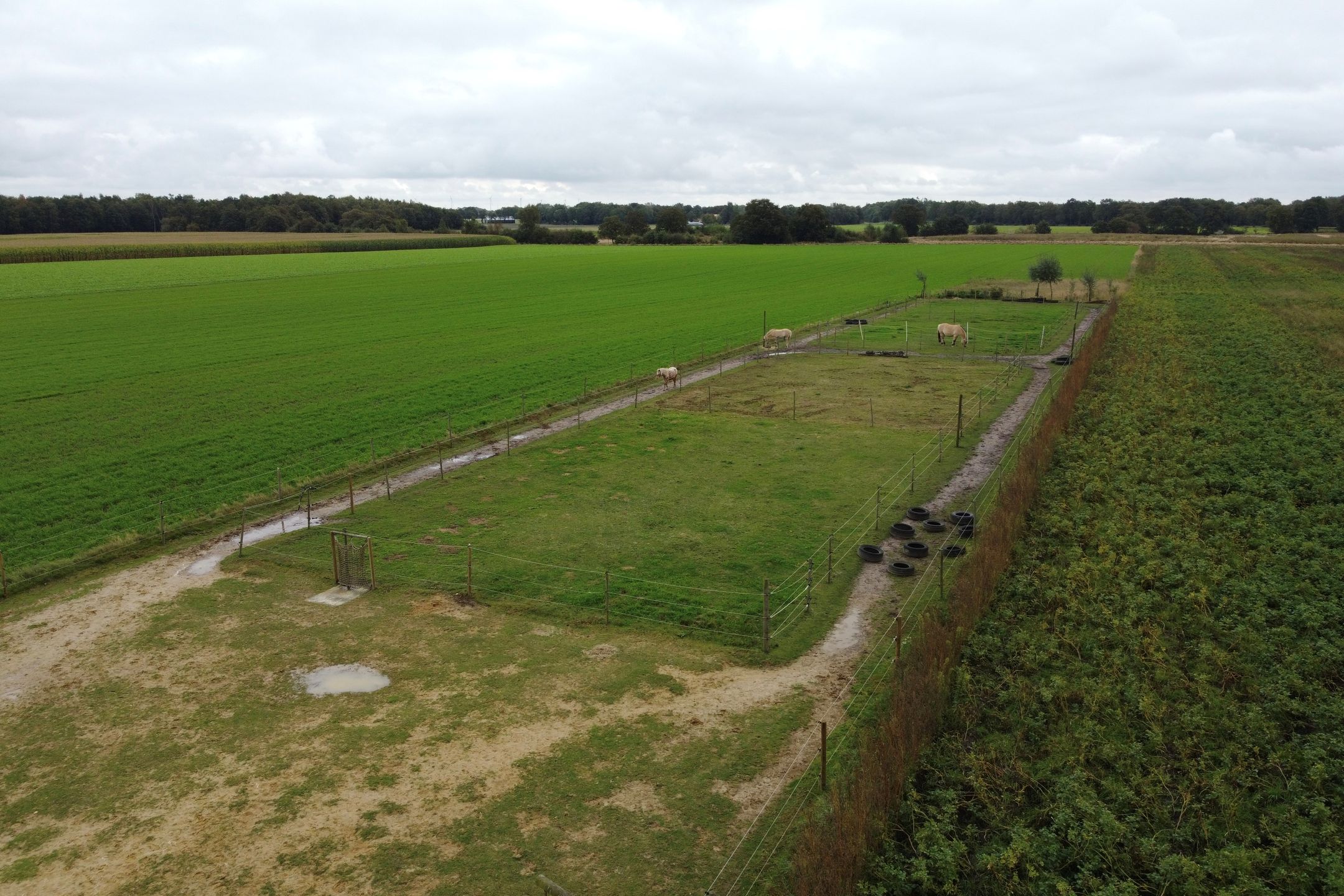 Foto 36 van Holte 12