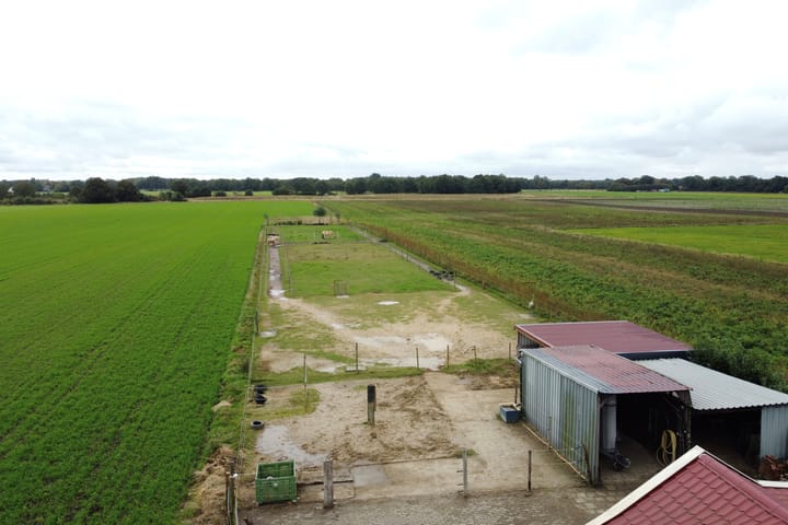 Foto 37 van Holte 12