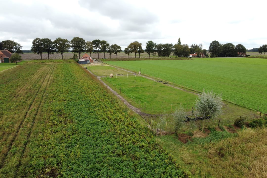 Foto 38 van Holte 12