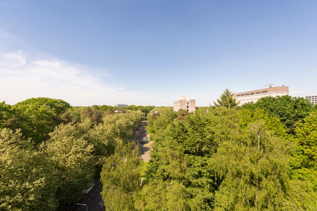 Photo 5 of Professor Cobbenhagenlaan 758