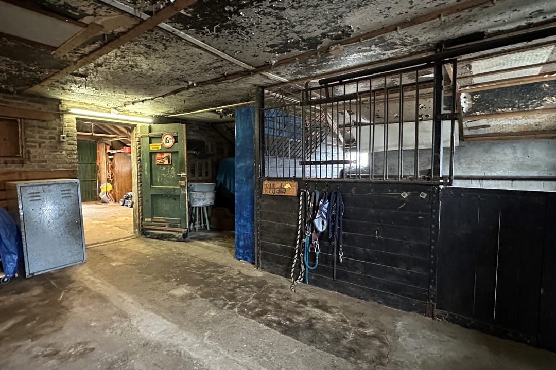 Foto 31 van Holte 12