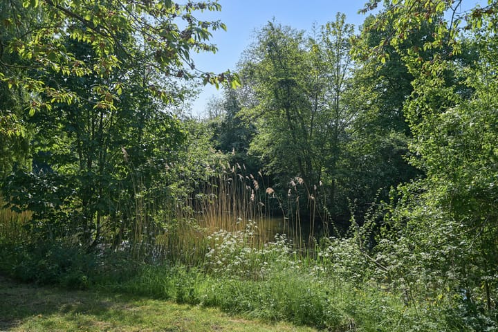 Foto 34 van Sportlaan 1136