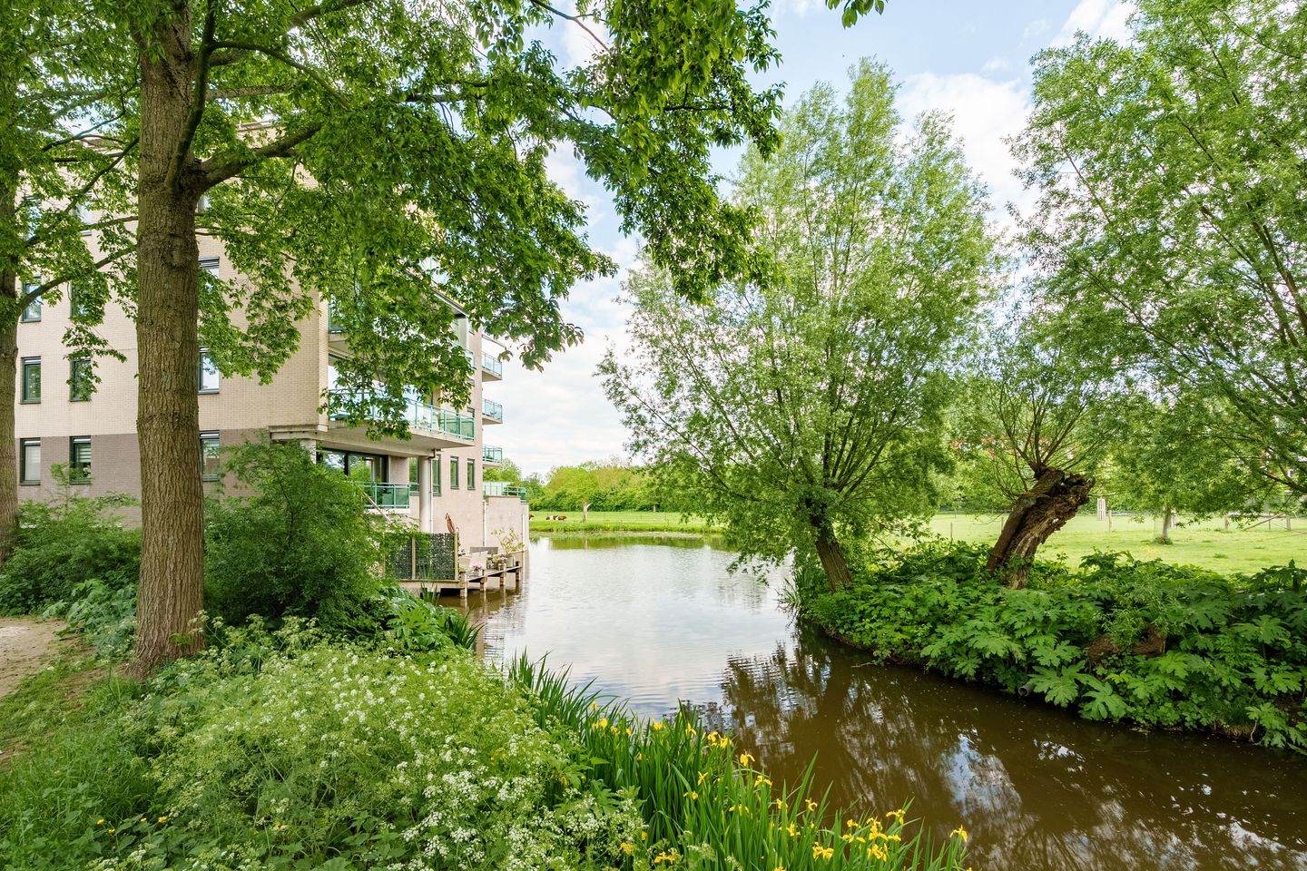 Foto 4 van Huszárlaan 31