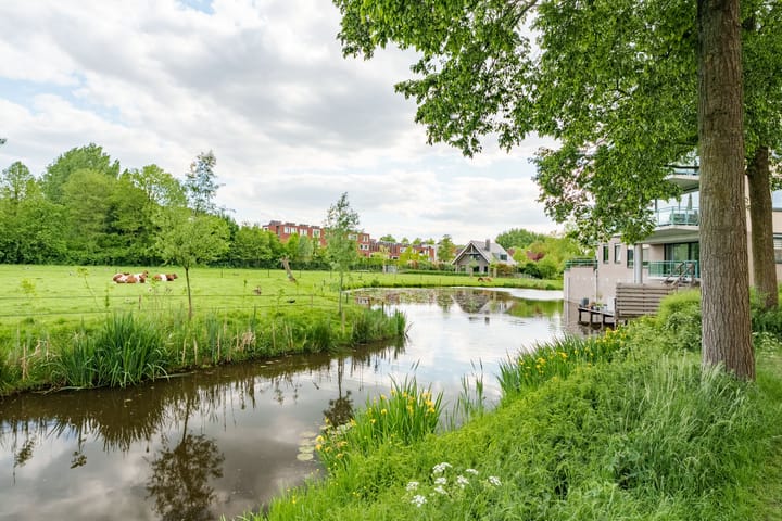 Foto 31 van Huszárlaan 31