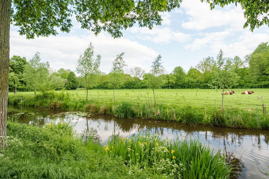 Foto 32 van Huszárlaan 31