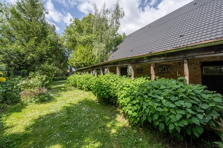 Foto 61 van Molendijk 110