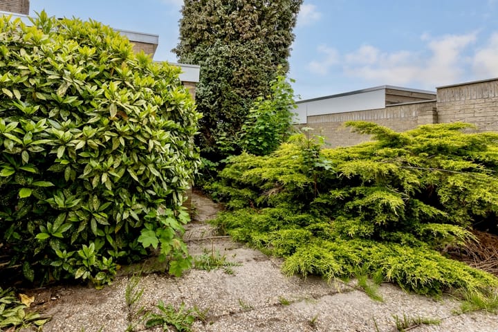 Foto 21 van Dokter De Ramlaan 26