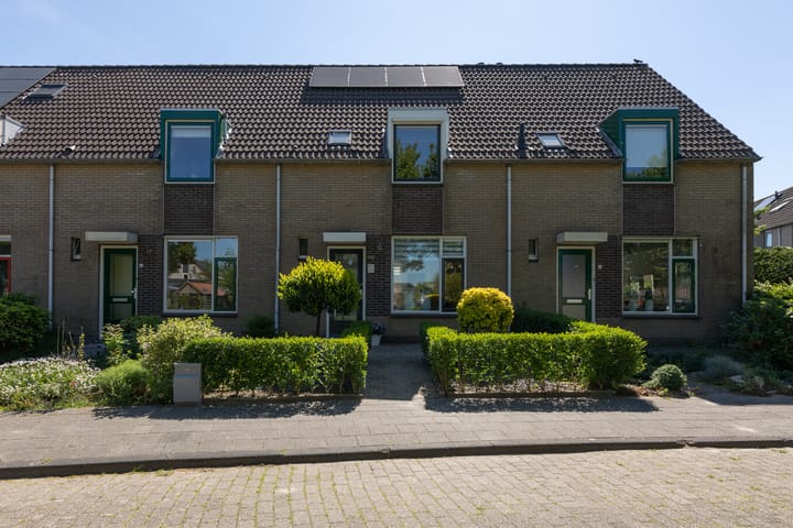 Foto 1 van Kamille 4