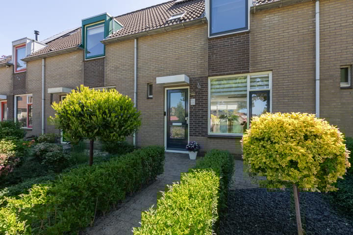 Foto 2 van Kamille 4