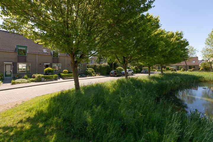 Foto 39 van Kamille 4