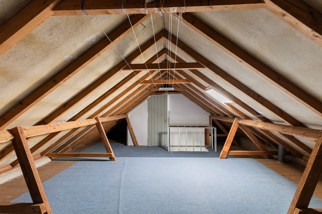 Foto 32 van Sjoerd Baukesstrjitte 3