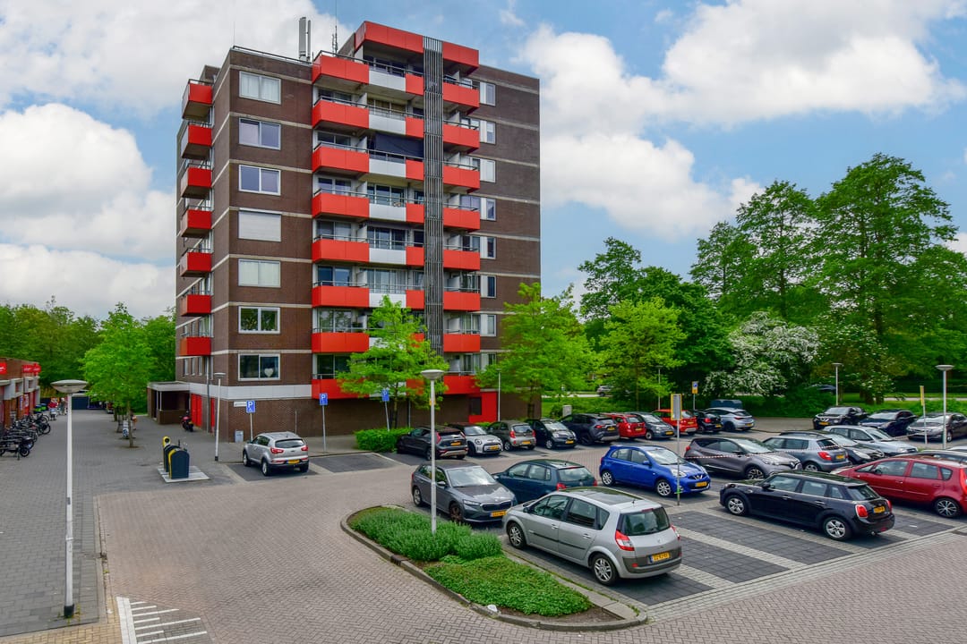 Foto 16 van Zilverschoon 55