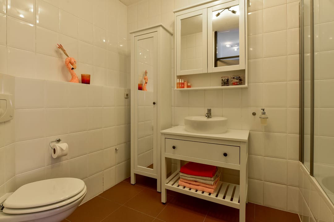 Foto 11 van Zilverschoon 55