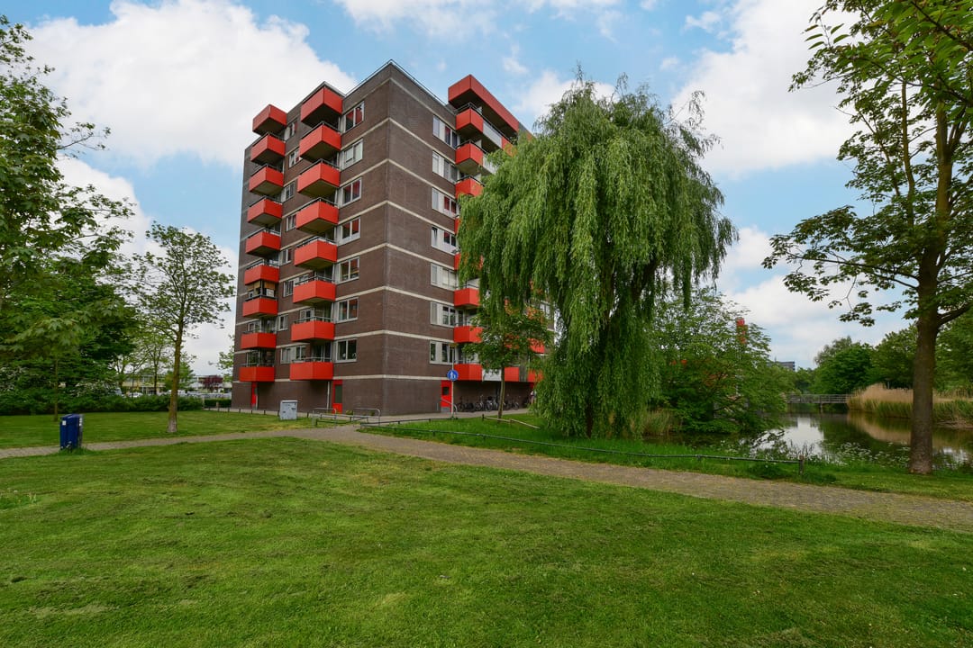 Foto 2 van Zilverschoon 55