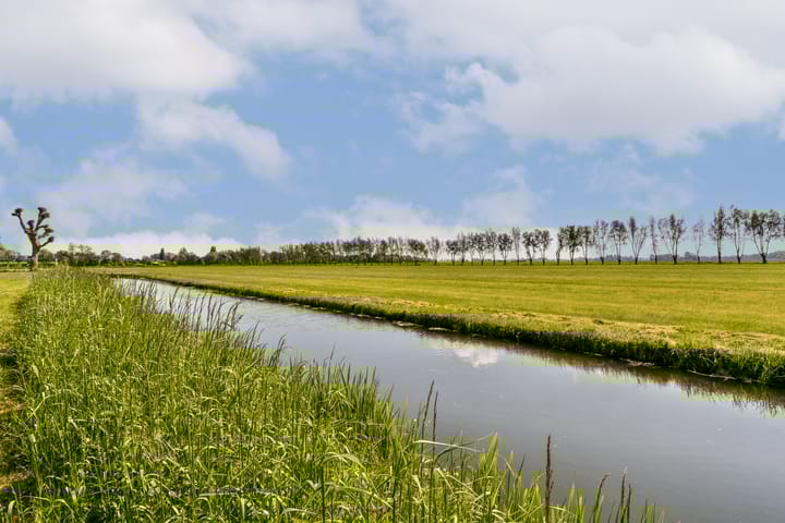 Photo 19 of Reigersweide 105