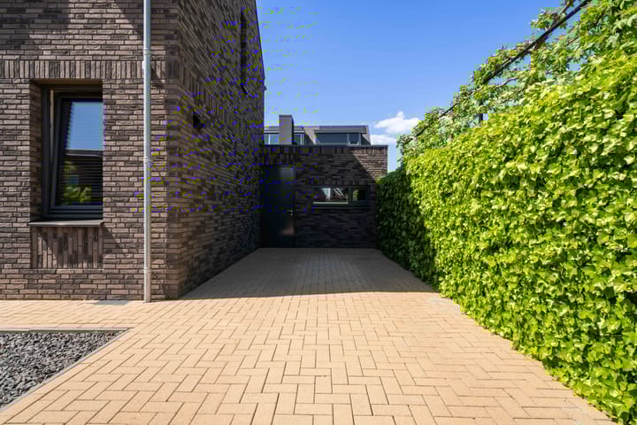 Foto 50 van Gaffel 2