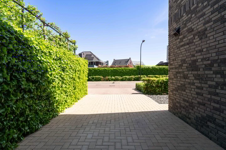 Foto 52 van Gaffel 2