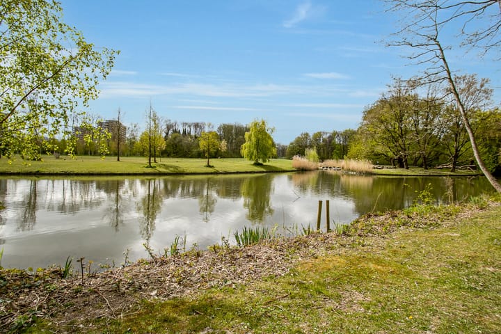 Foto 2 van Burgemeester Hazenberglaan 49