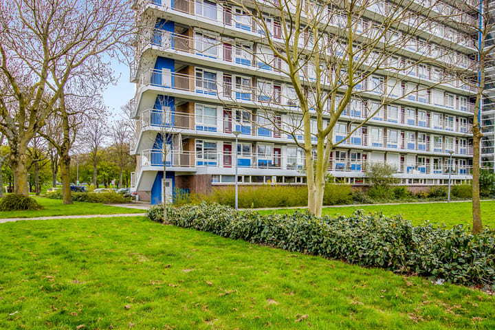 Photo 35 of Burgemeester Hazenberglaan 49