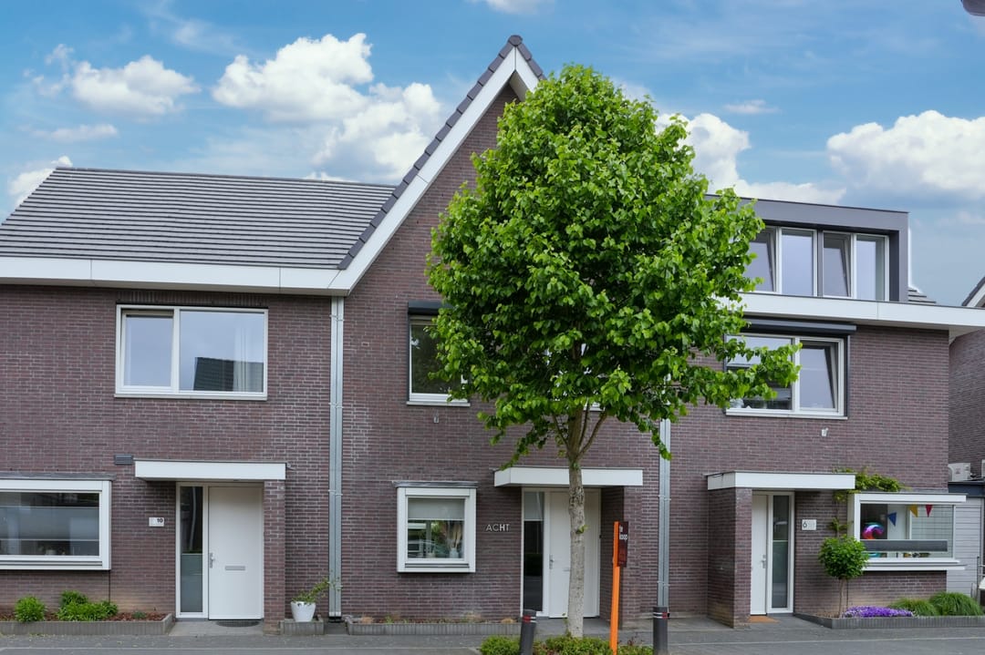 Foto 1 van Lijster 8