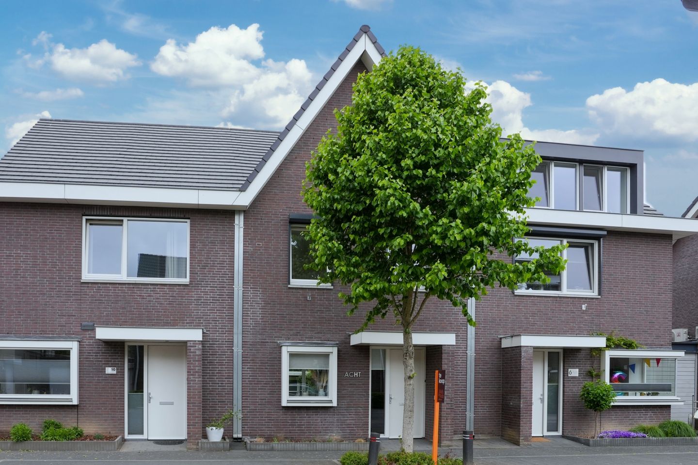 Foto 1 van Lijster 8