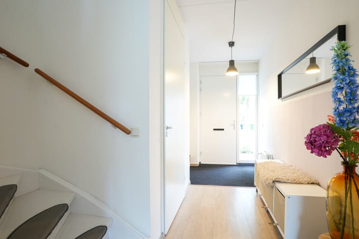 Foto 6 van Lijster 8