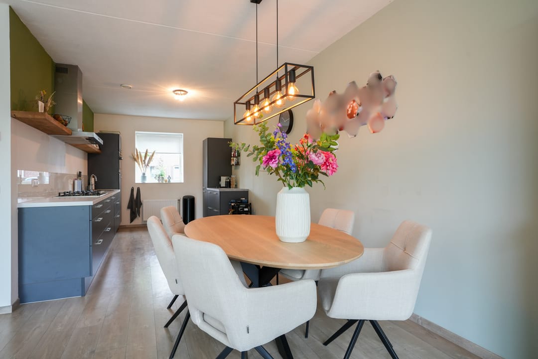 Foto 8 van Lijster 8